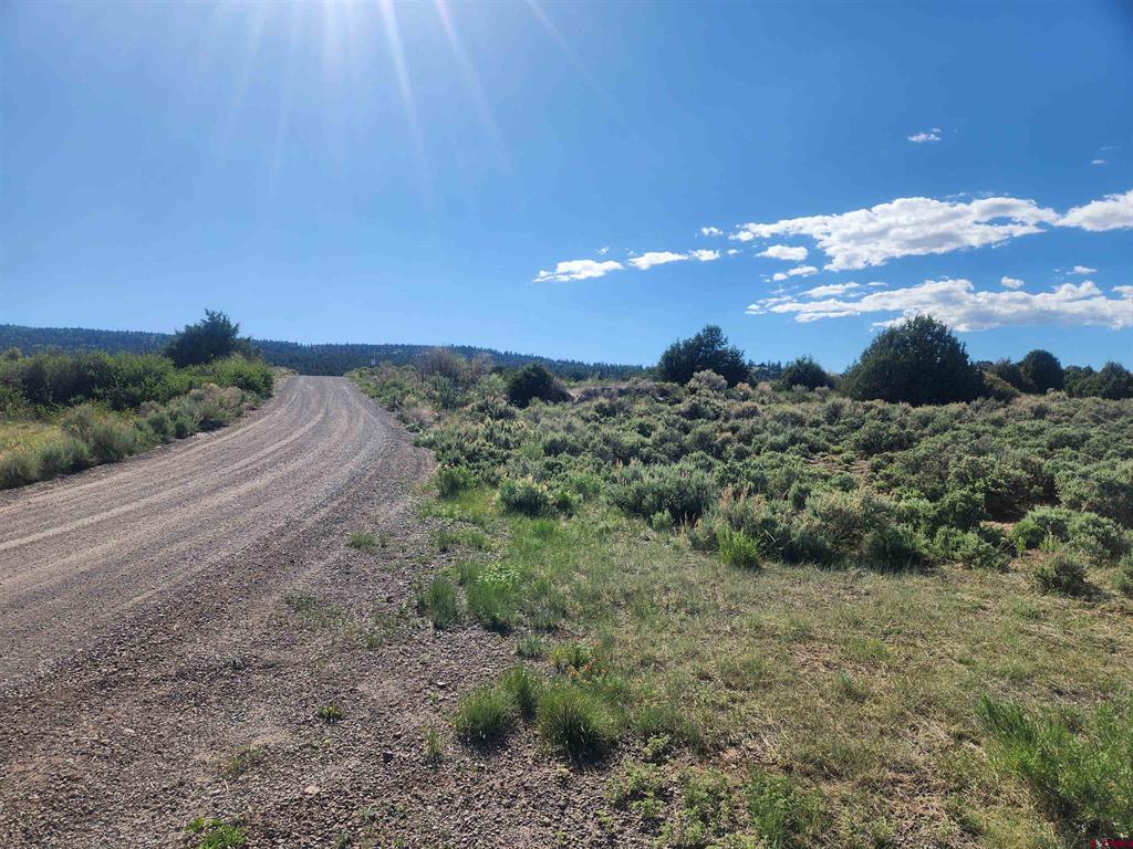 Lot 11 Conejos River Trails Property Photo 2