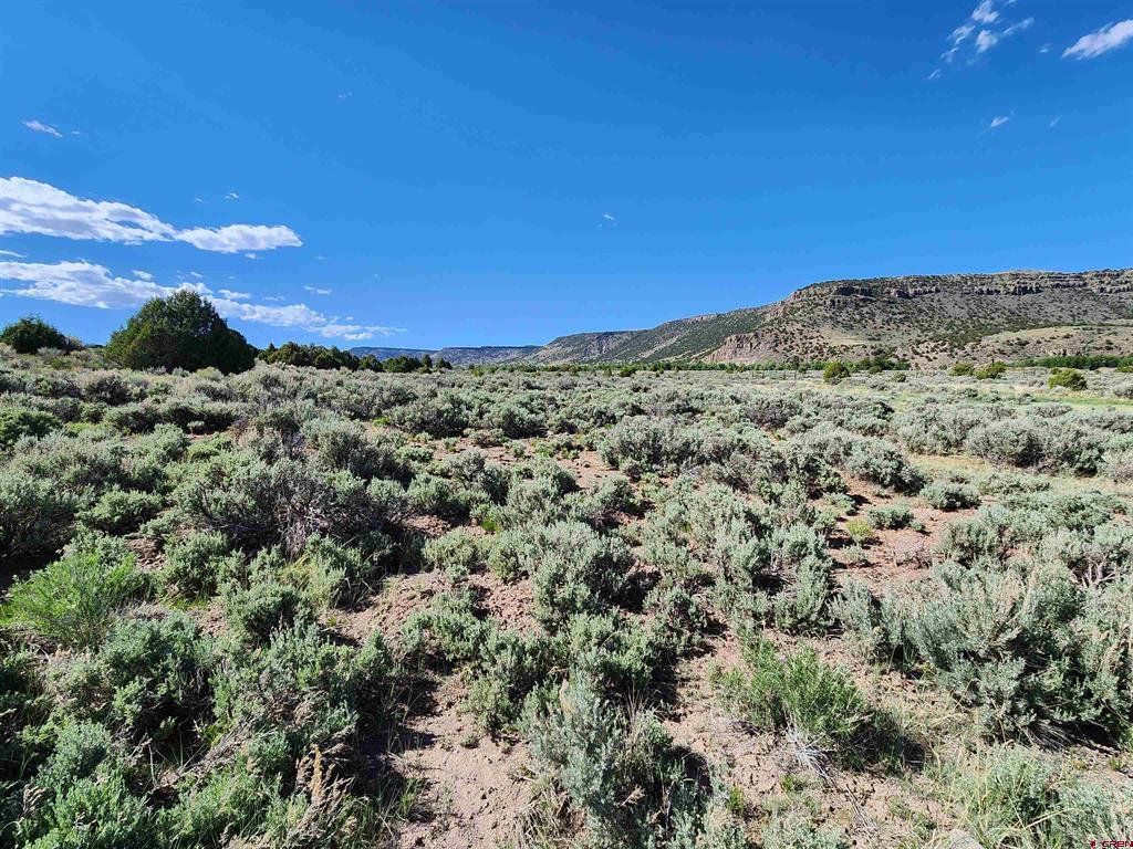 Lot 11 Conejos River Trails Property Photo 3