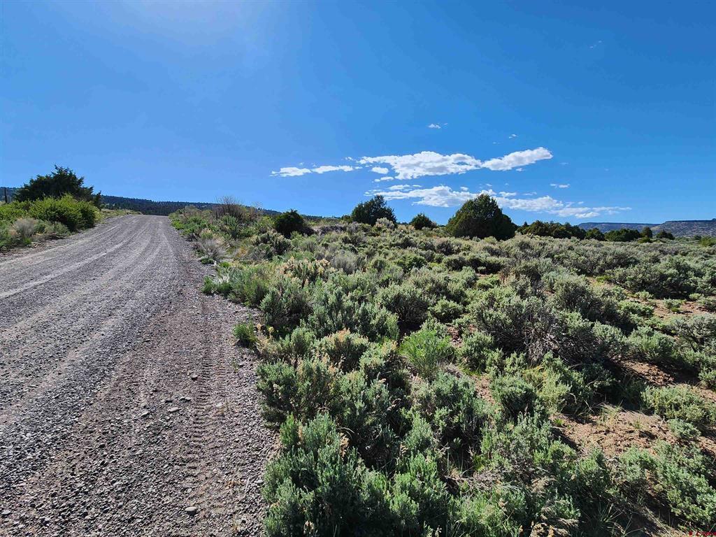 Lot 11 Conejos River Trails Property Photo 4
