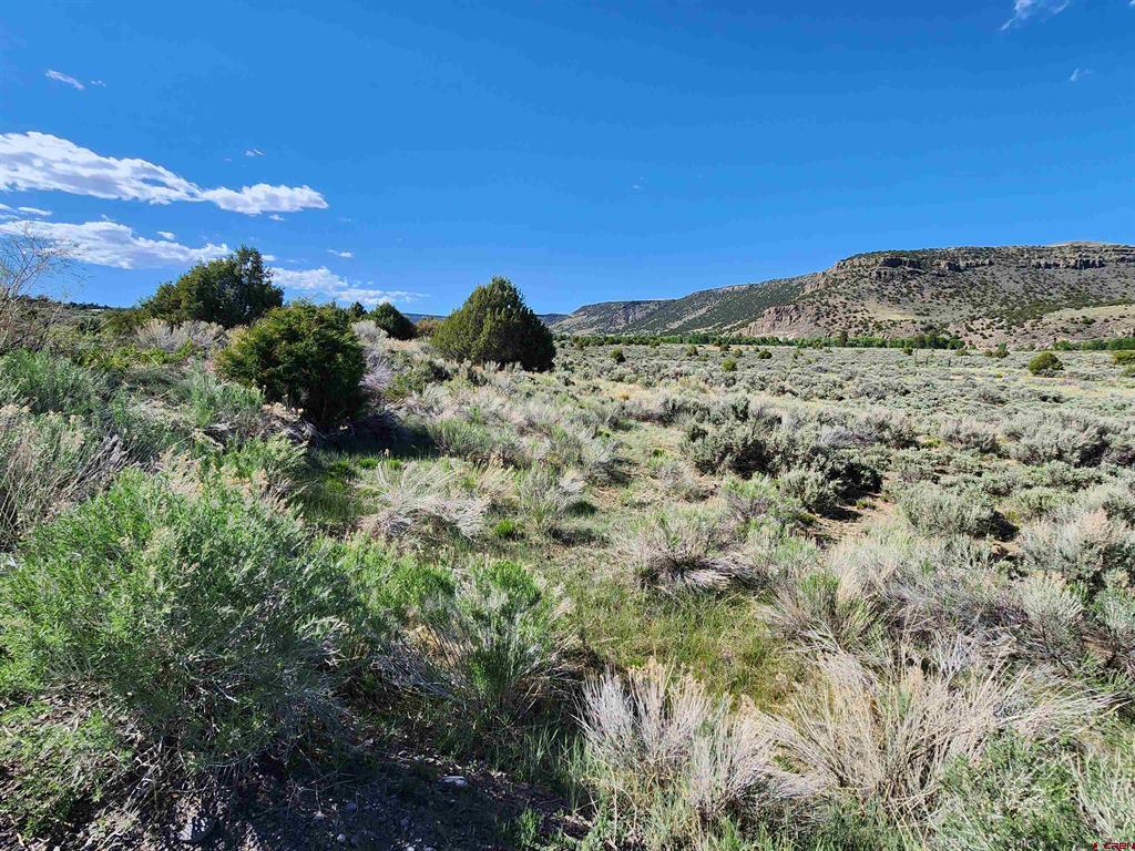 Lot 11 Conejos River Trails Property Photo 5