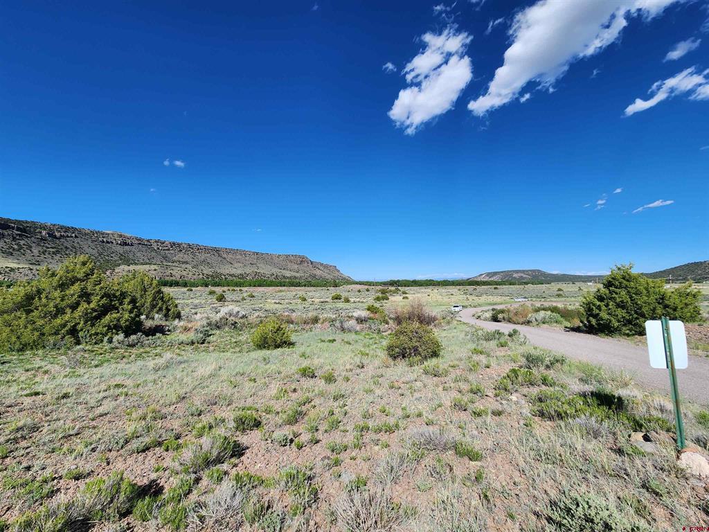 Lot 10 Conejos River Trails Property Photo 2