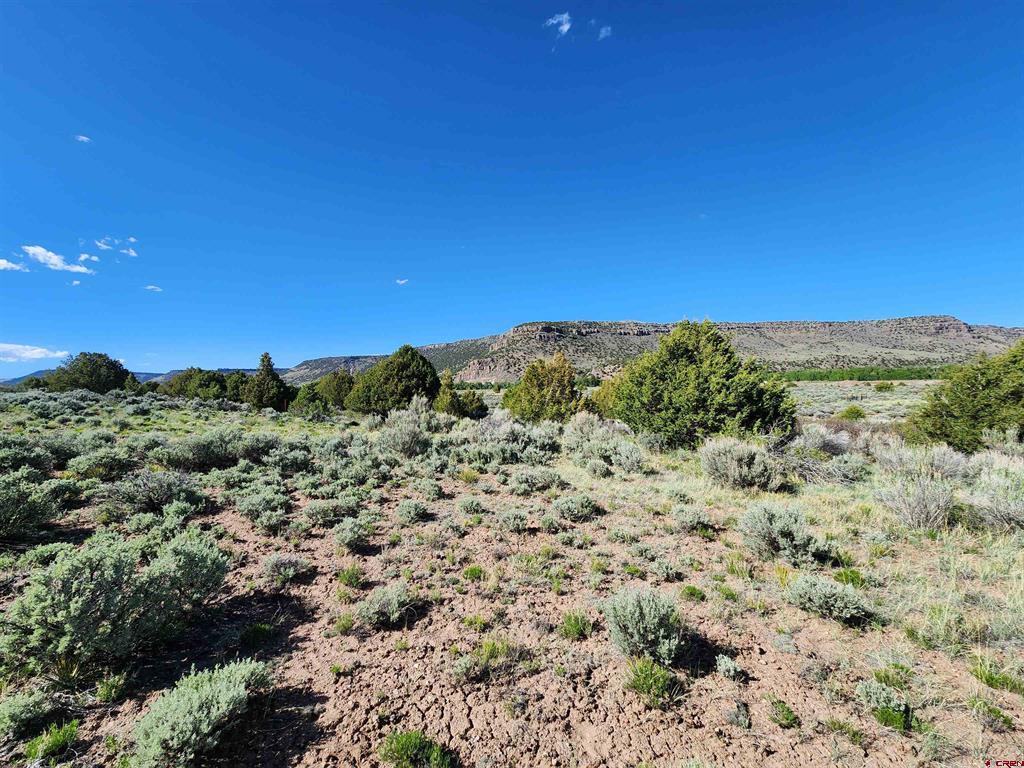 Lot 10 Conejos River Trails Property Photo 3