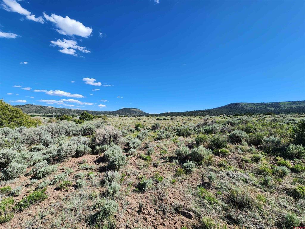 Lot 10 Conejos River Trails Property Photo 4