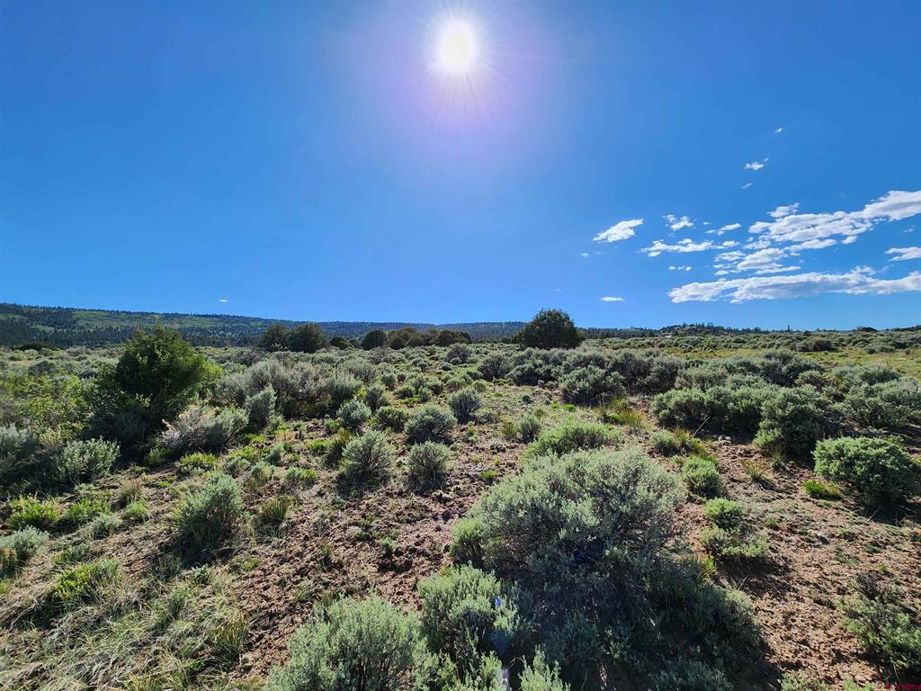 Lot 10 Conejos River Trails Property Photo 5