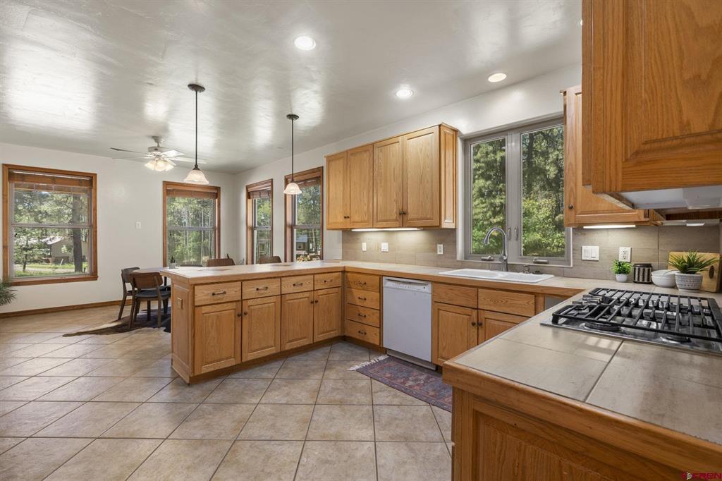 507 Deer Ridge Drive Property Photo 3