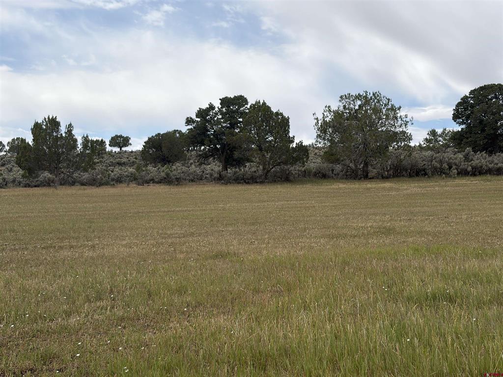 Tbd Cactuspark Road Property Photo 2