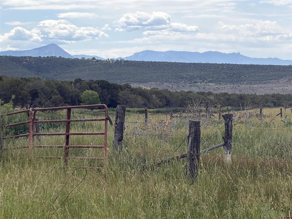 Tbd Cactuspark Road Property Photo 8