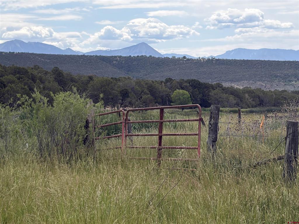 Tbd Cactuspark Road Property Photo 9