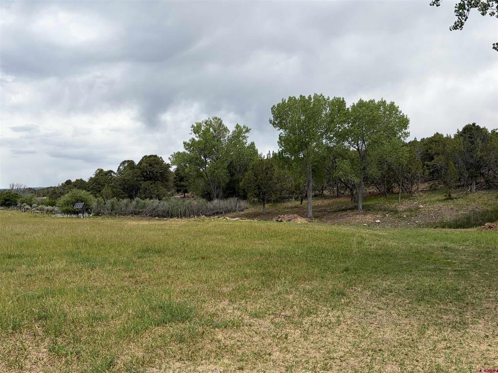 Tbd Cactuspark Road Property Photo 11