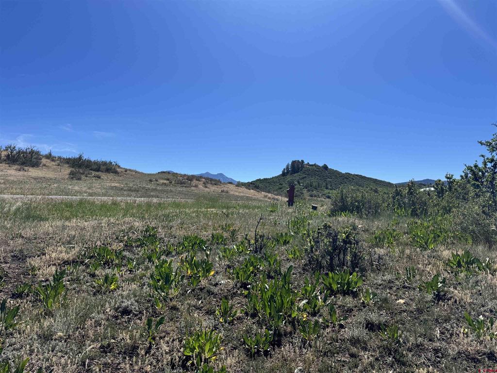 764 Irwins Place Property Photo 13
