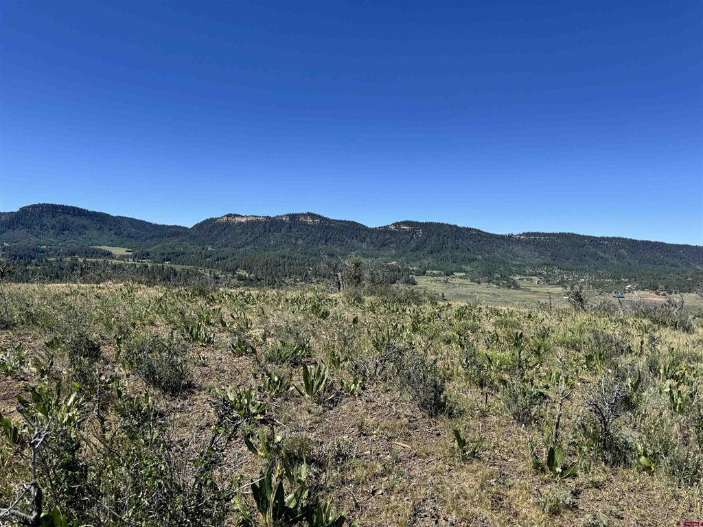 764 Irwins Place Property Photo 25