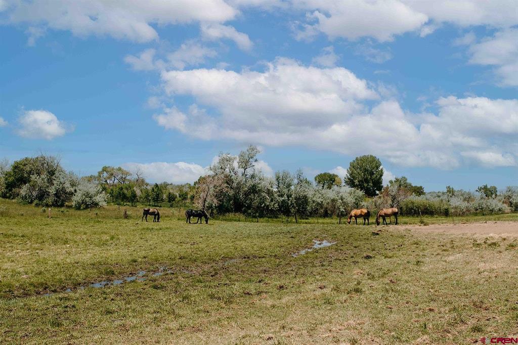 14679 5875 Road Property Photo 33