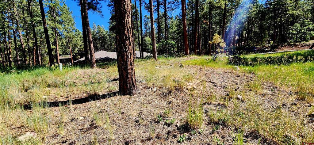 361 Hogan Circle Property Photo 3