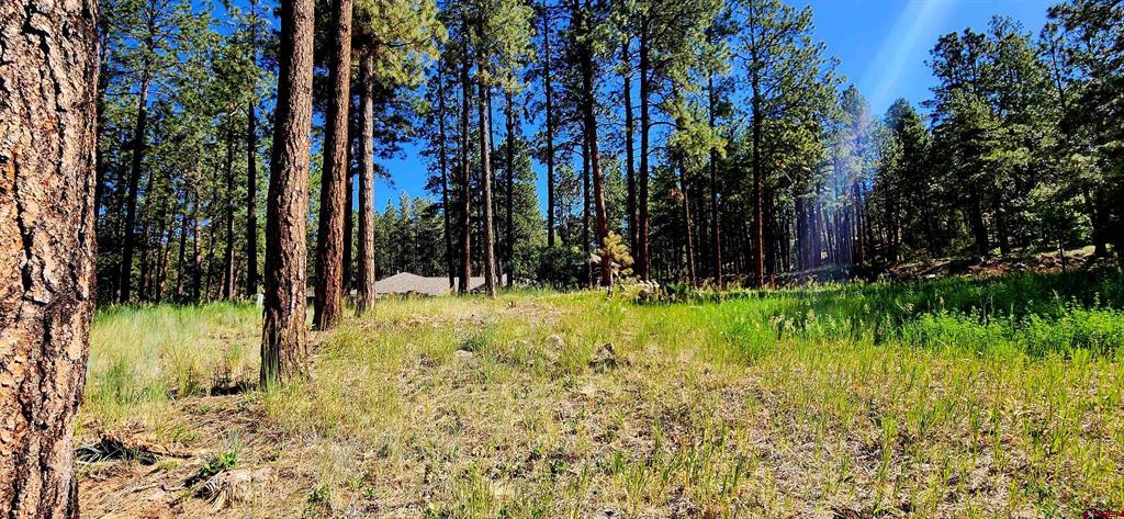 361 Hogan Circle Property Photo 4