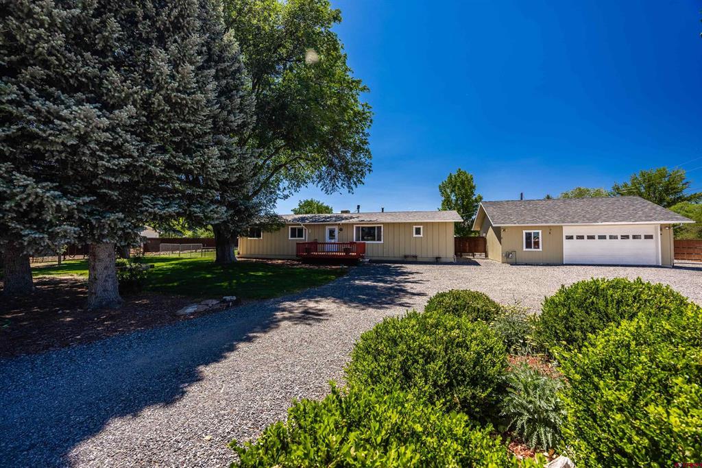 21071 Uncompahgre Road Property Photo 4
