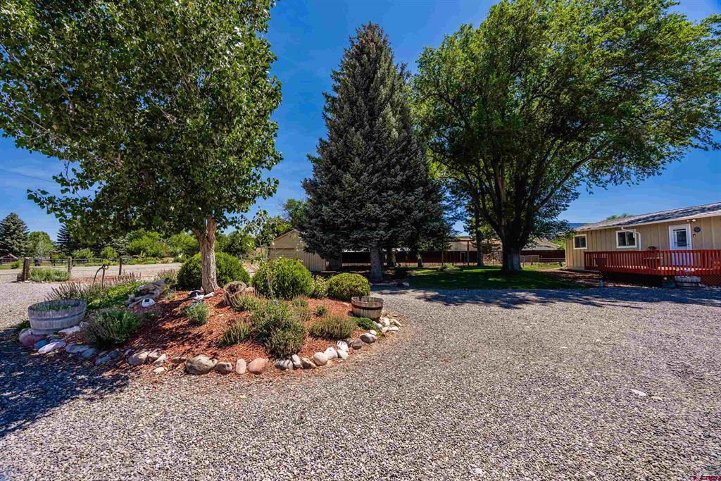 21071 Uncompahgre Road Property Photo 27
