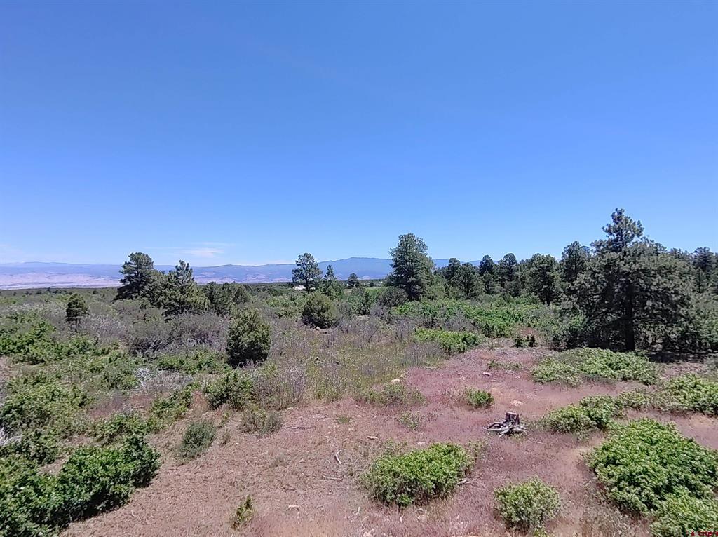 1748 Dave Wood Road Property Photo 2