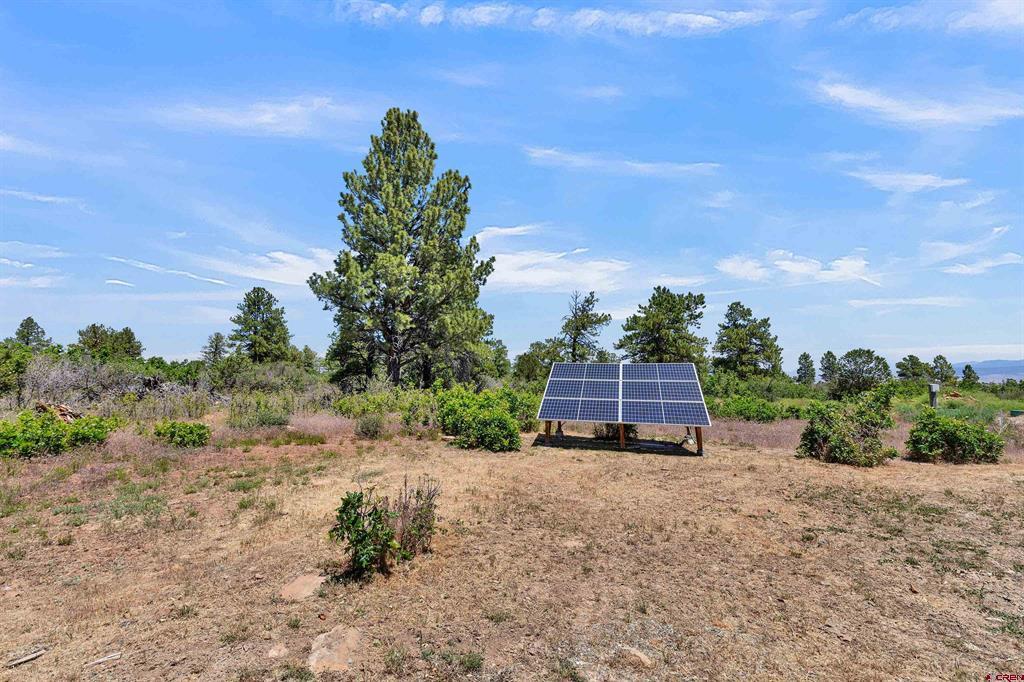 1748 Dave Wood Road Property Photo 22