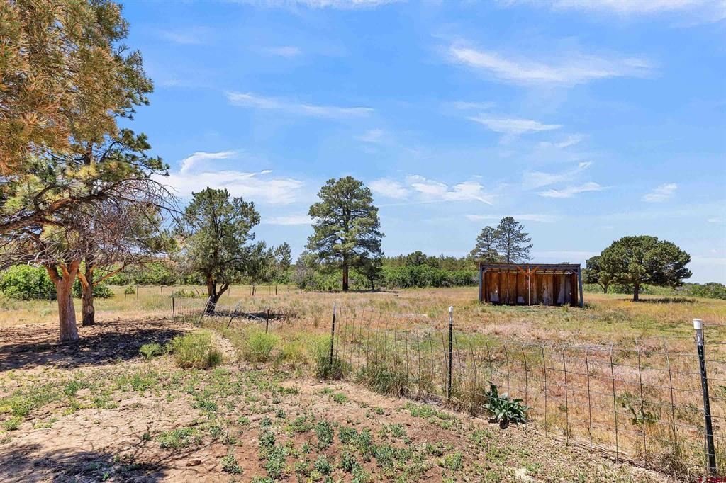 1748 Dave Wood Road Property Photo 33