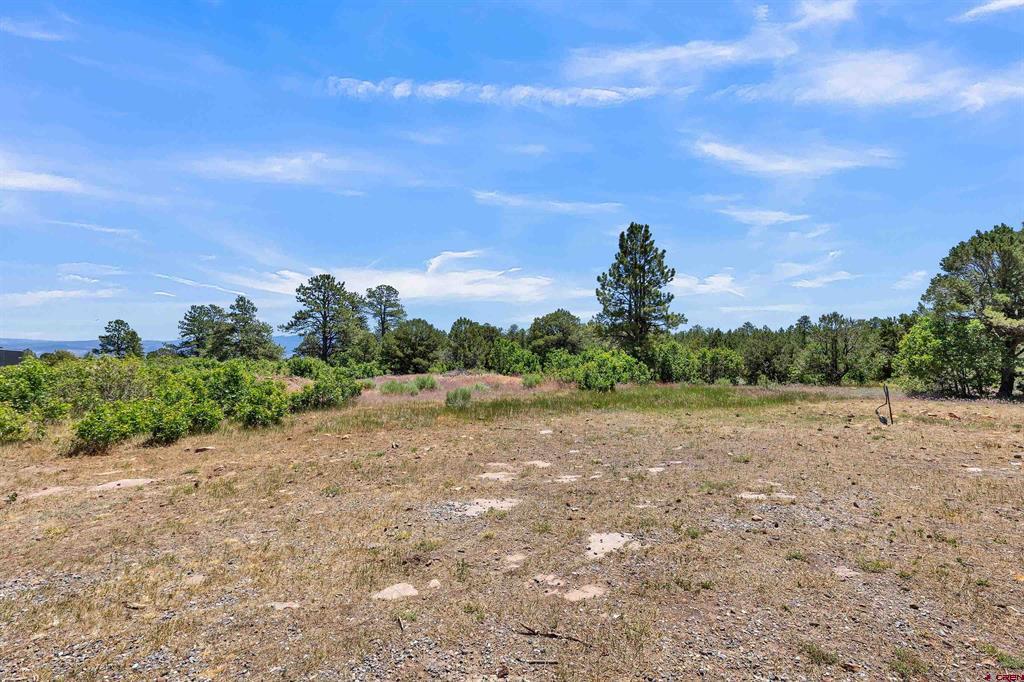 1748 Dave Wood Road Property Photo 42