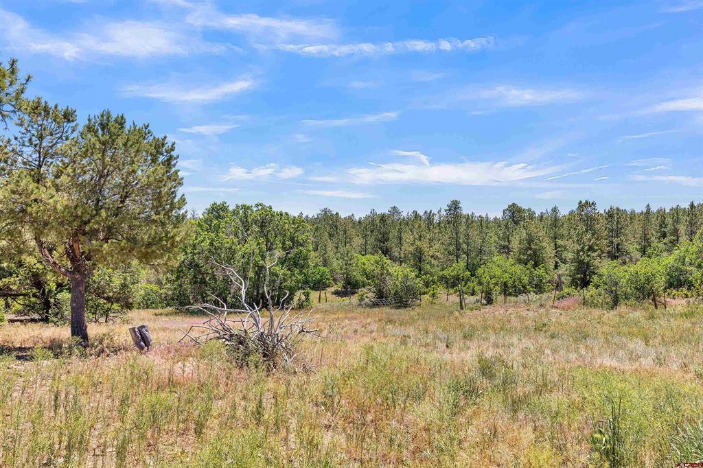 1748 Dave Wood Road Property Photo 43