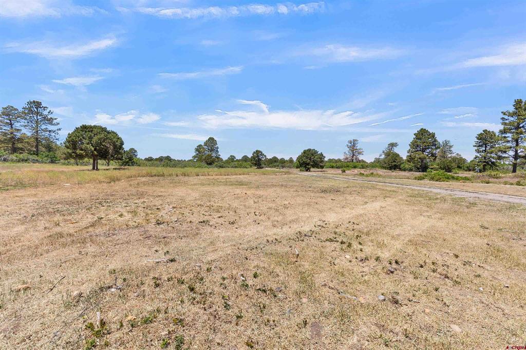 1748 Dave Wood Road Property Photo 44