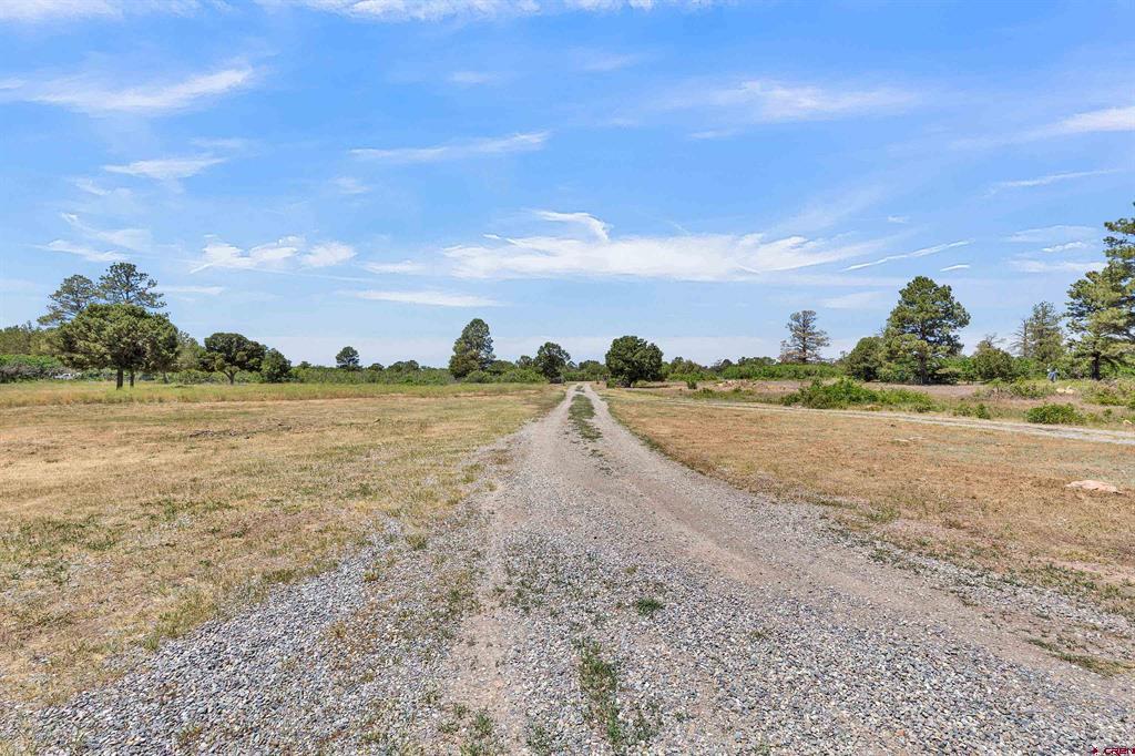 1748 Dave Wood Road Property Photo 45