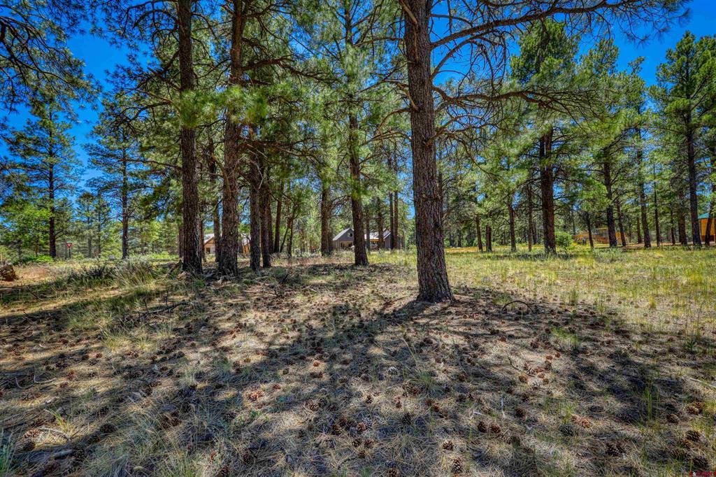 32 Monastery Court Property Photo 1