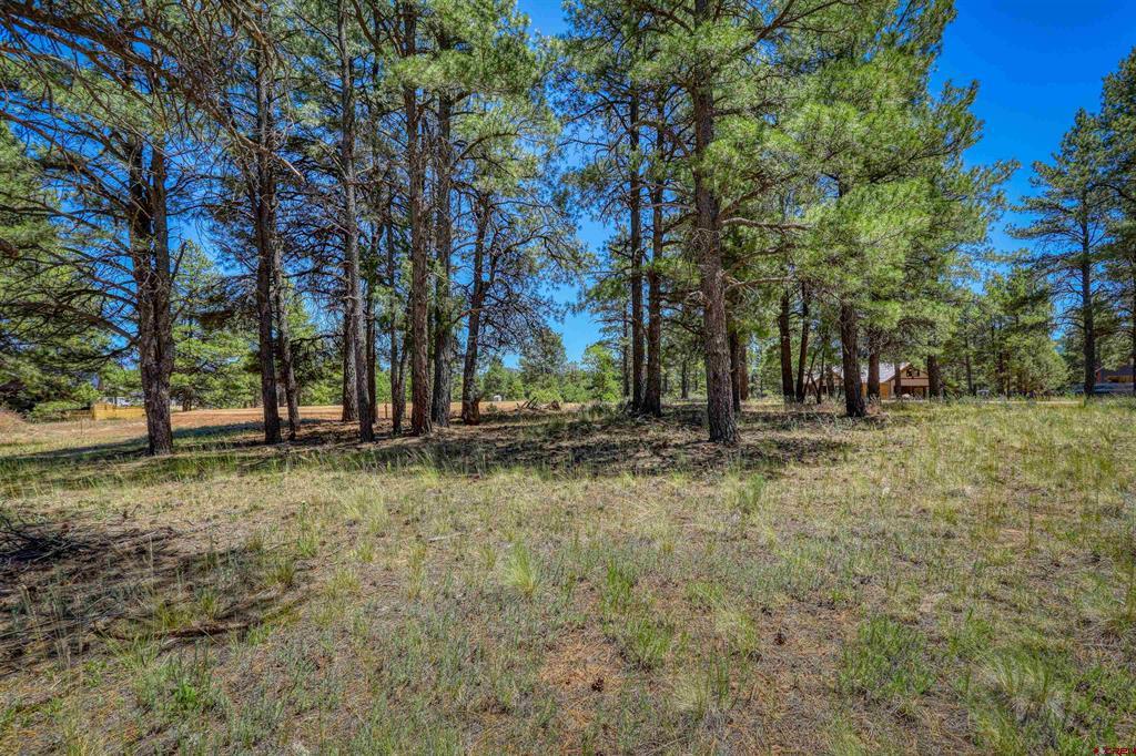 32 Monastery Court Property Photo 2