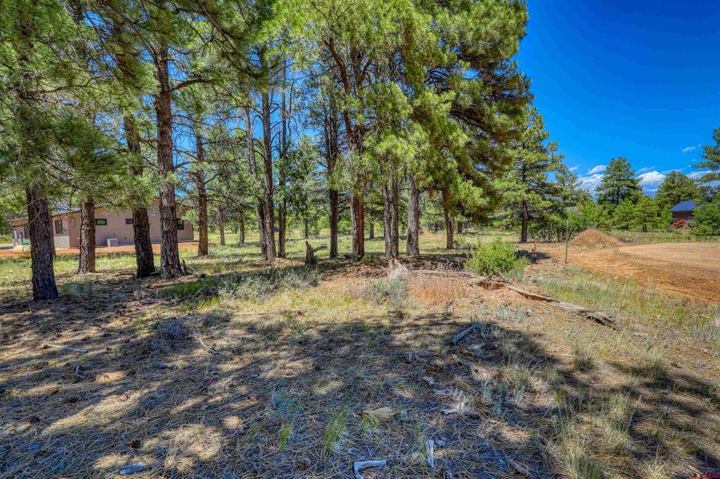 32 Monastery Court Property Photo 4