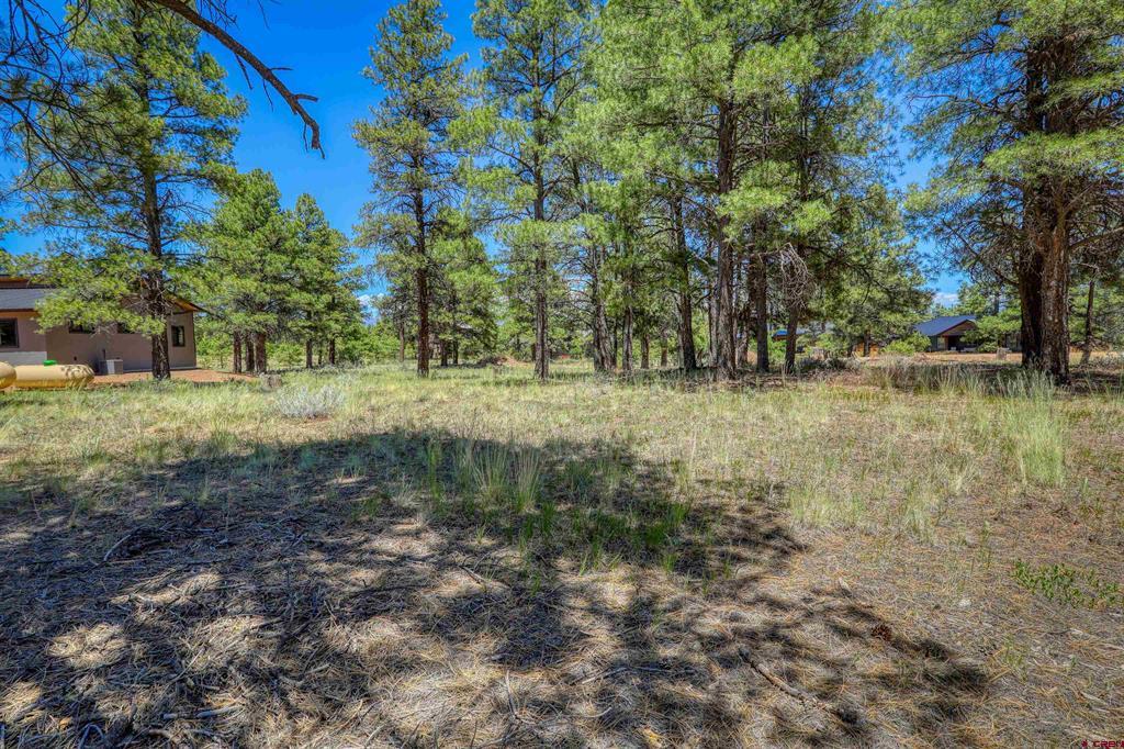 32 Monastery Court Property Photo 5