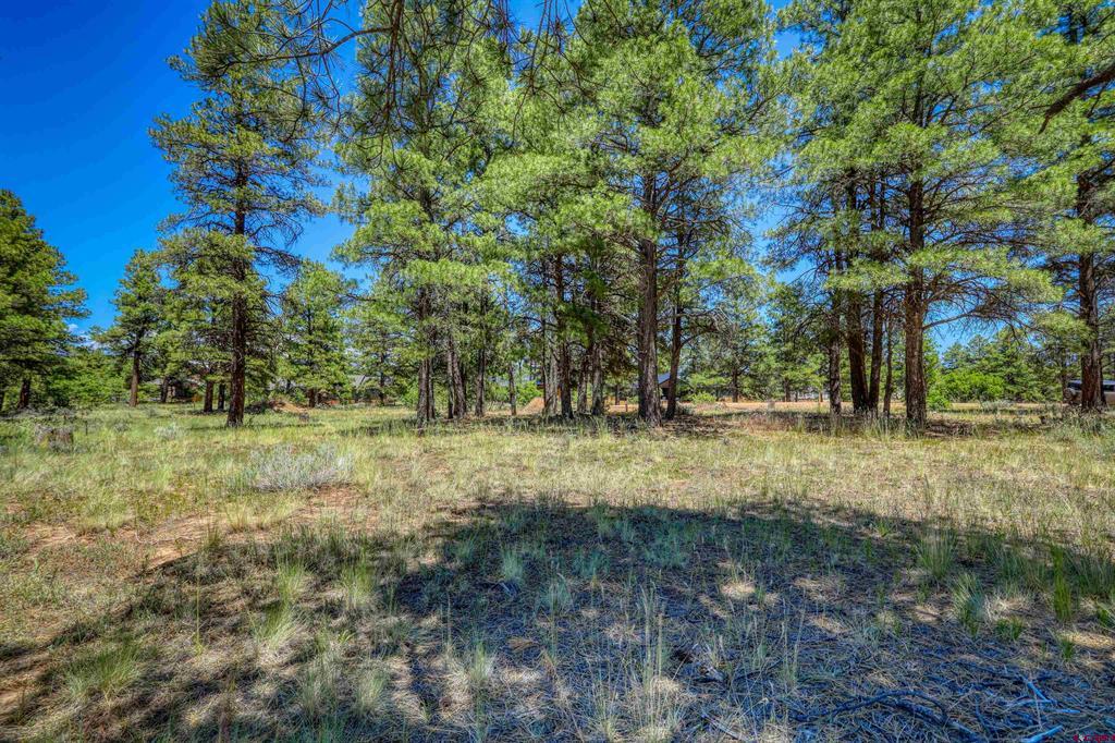 32 Monastery Court Property Photo 7