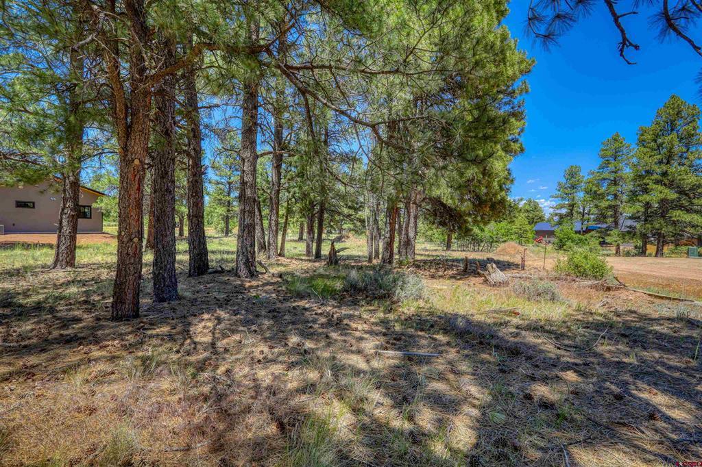 32 Monastery Court Property Photo 8