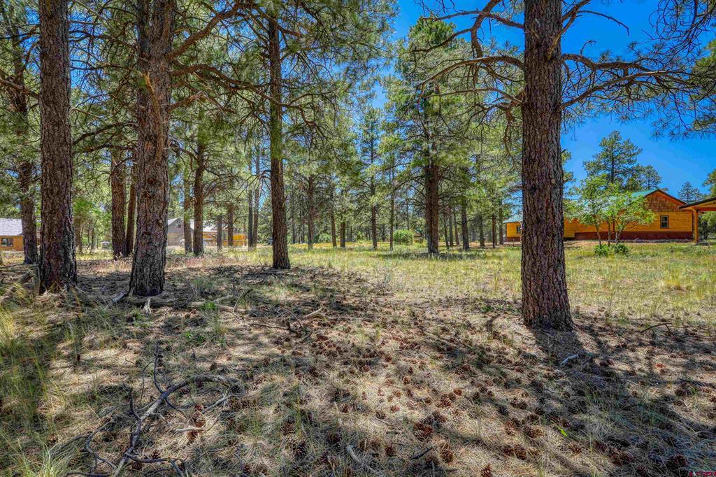 32 Monastery Court Property Photo 9