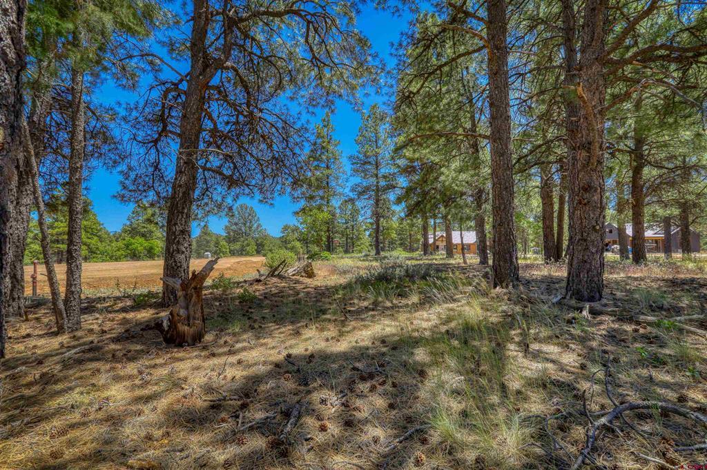 32 Monastery Court Property Photo 10