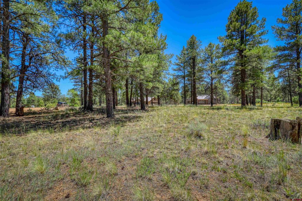 32 Monastery Court Property Photo 11