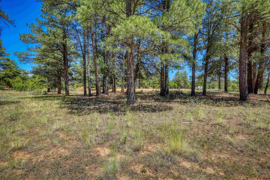32 Monastery Court Property Photo 12