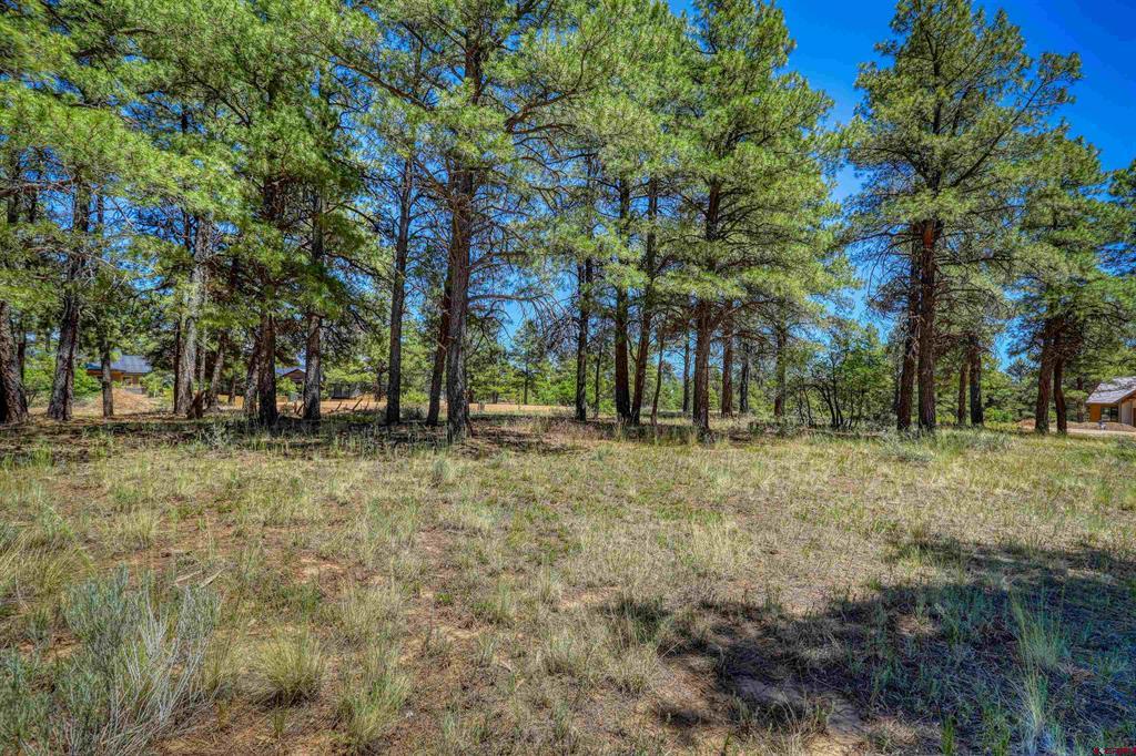 32 Monastery Court Property Photo 13