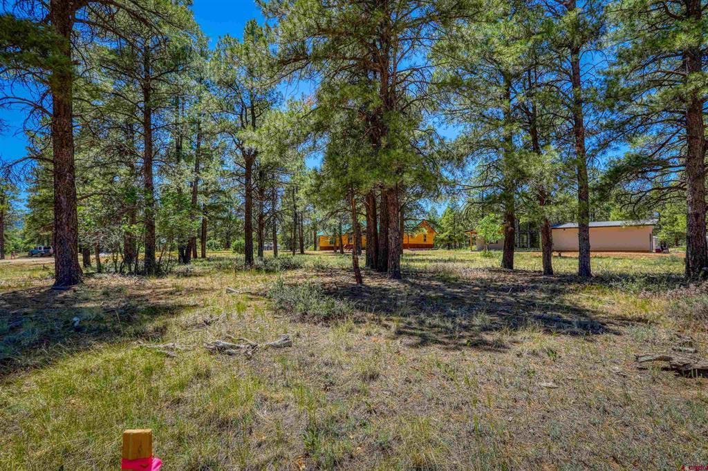 32 Monastery Court Property Photo 17