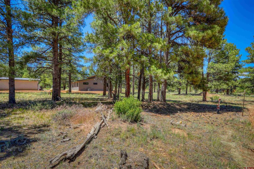 32 Monastery Court Property Photo 18