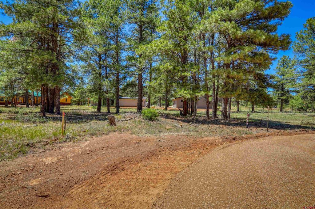 32 Monastery Court Property Photo 19