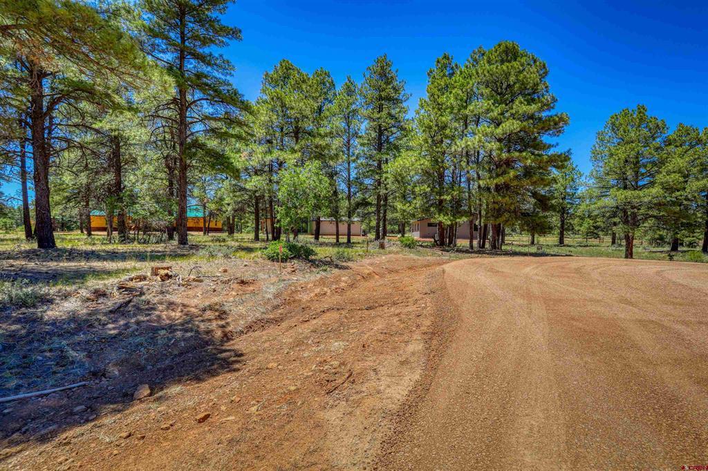 32 Monastery Court Property Photo 21