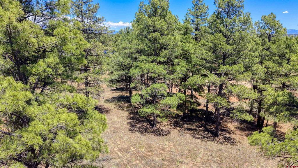 32 Monastery Court Property Photo 31
