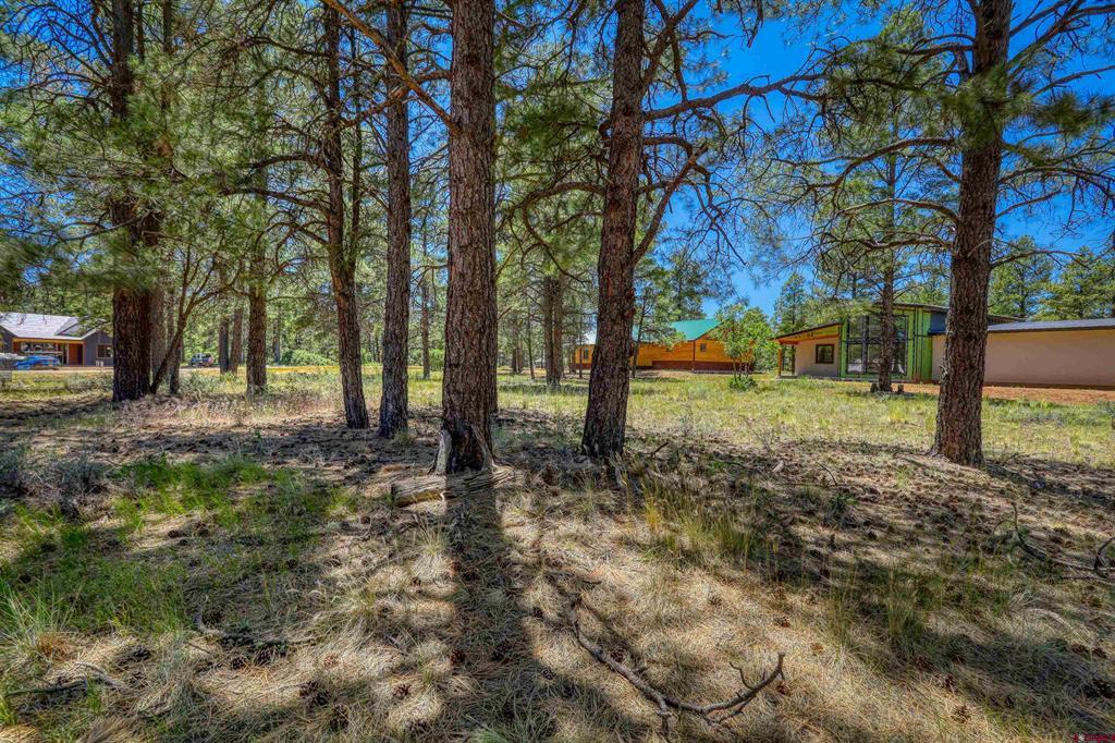 32 Monastery Court Property Photo 34