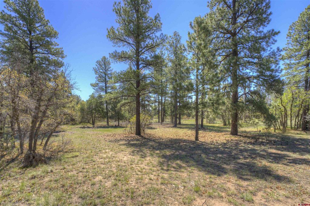 1100 Cr125 Property Photo 2