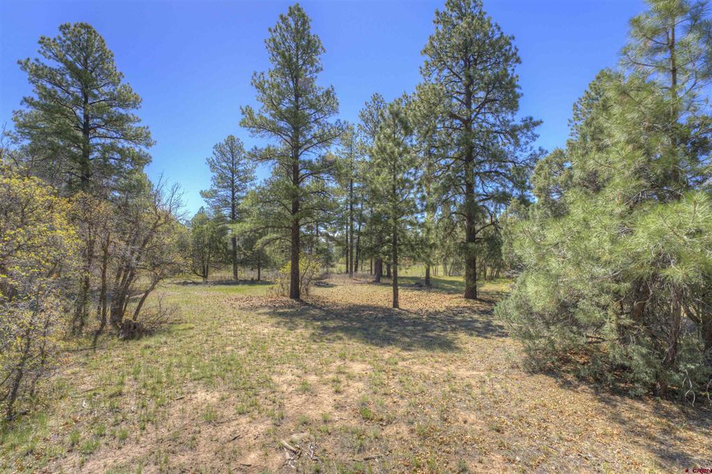 1100 Cr125 Property Photo 3
