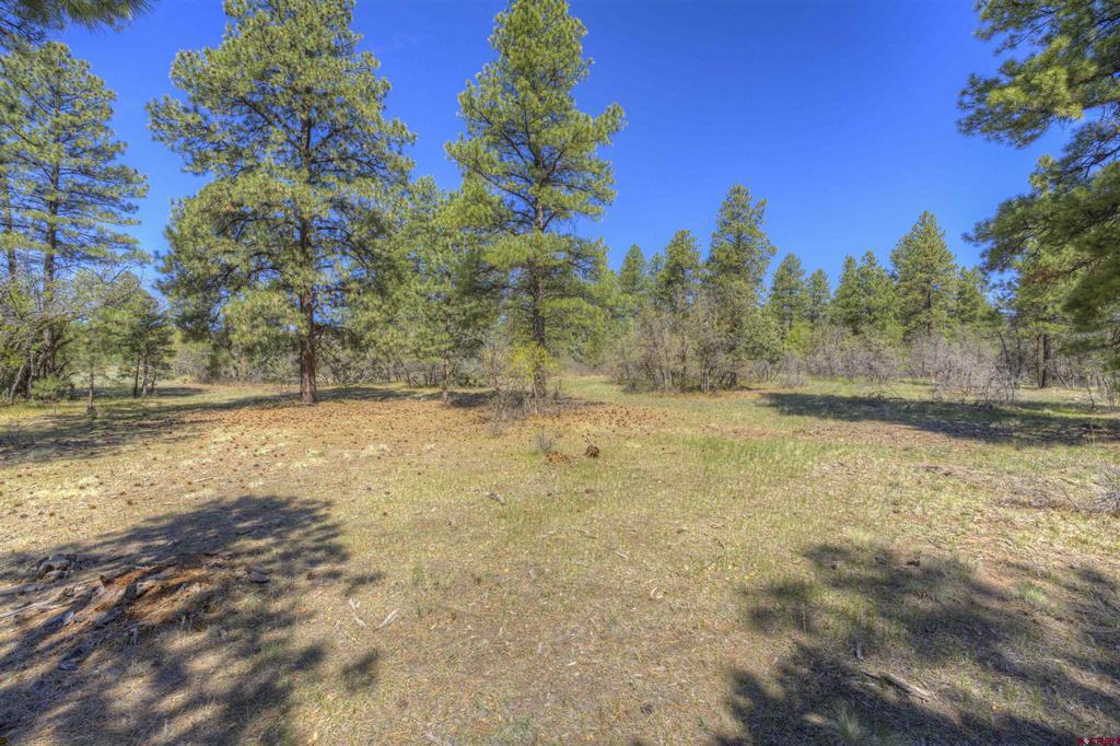 1100 Cr125 Property Photo 5