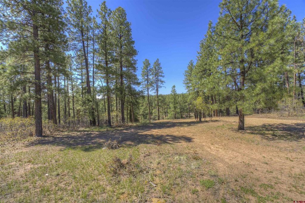 1100 Cr125 Property Photo 6