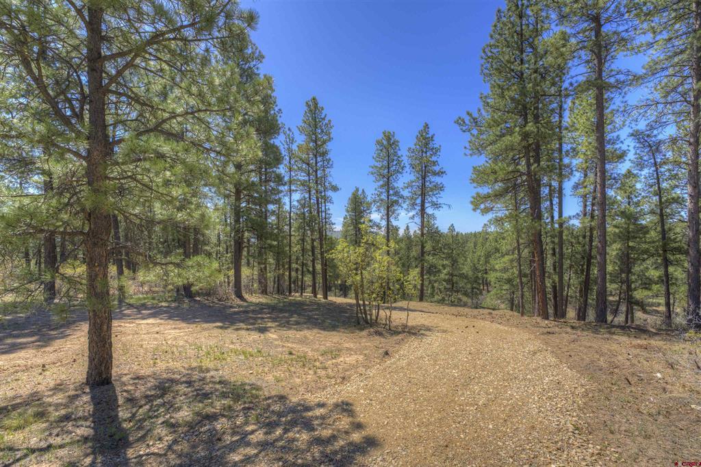 1100 Cr125 Property Photo 7