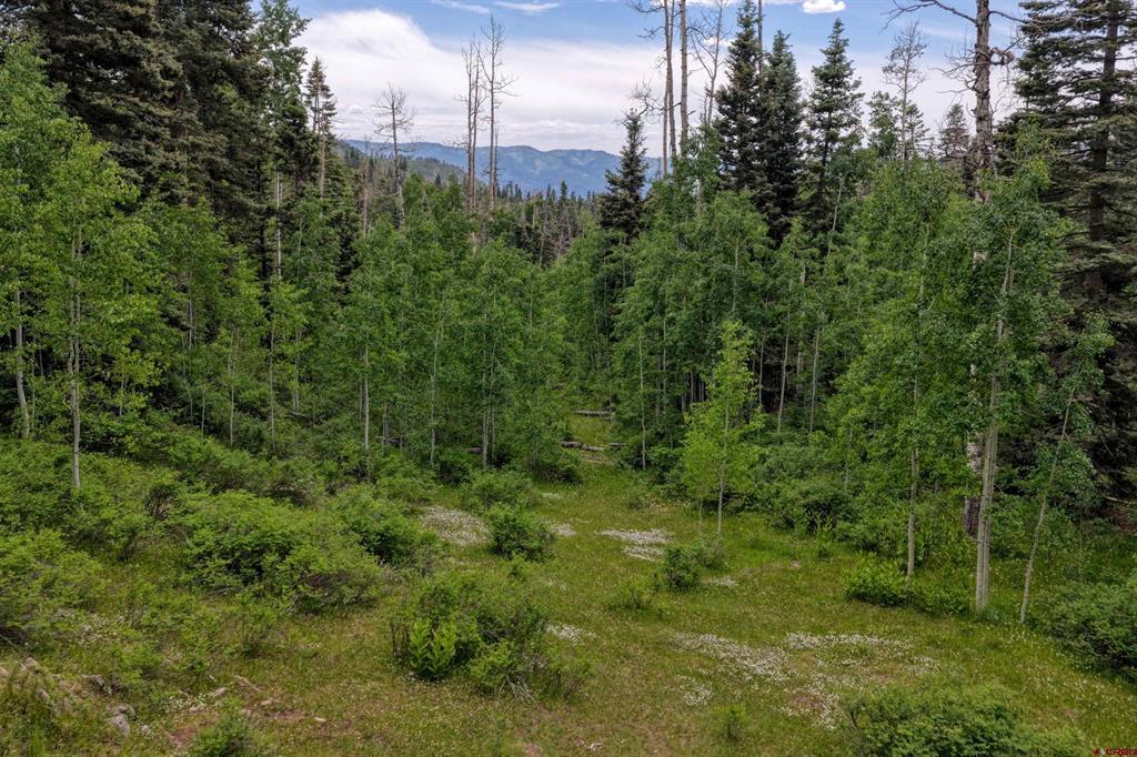 4556 Middle Mountain Road Property Photo 1